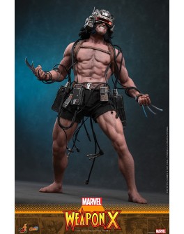 Hot Toys CMS034 1/6 Scale Weapon X