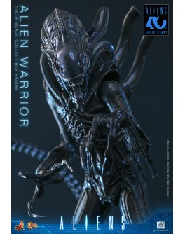 Hot Toys MMS898 1/6 Scale "Aliens" Alien Warrior