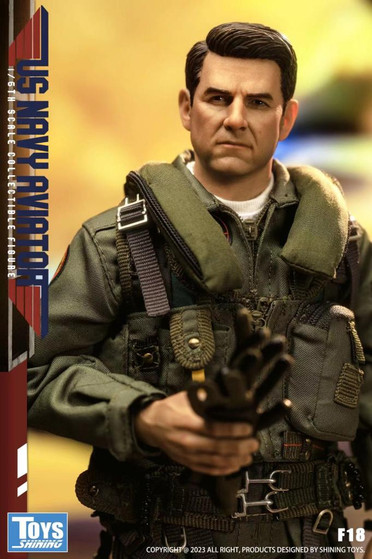 Shining Toys 1/6 US F18 Aviator Collectible Figure [SHT-F18]