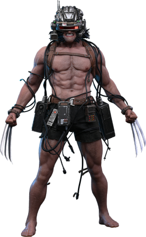 Weapon X